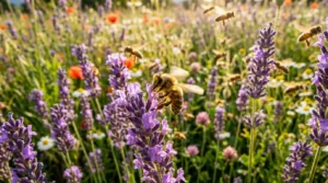metaphor for bees